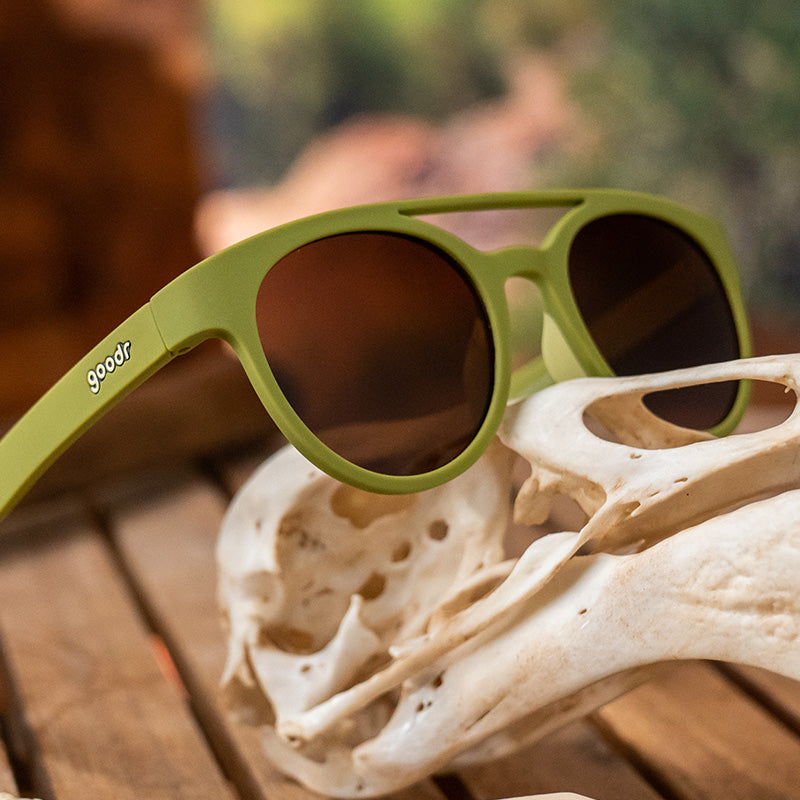 PHG | FOSSIL FINDING FOCALS