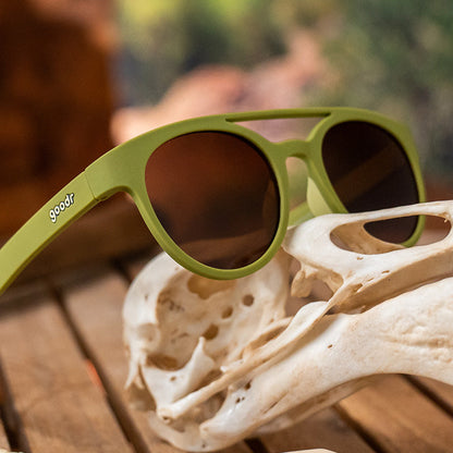 PHG | FOSSIL FINDING FOCALS